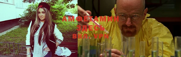 ПСИЛОЦИБИНОВЫЕ ГРИБЫ Няндома