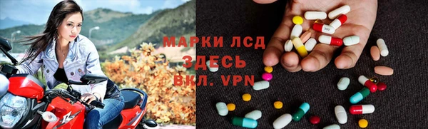 ПСИЛОЦИБИНОВЫЕ ГРИБЫ Няндома