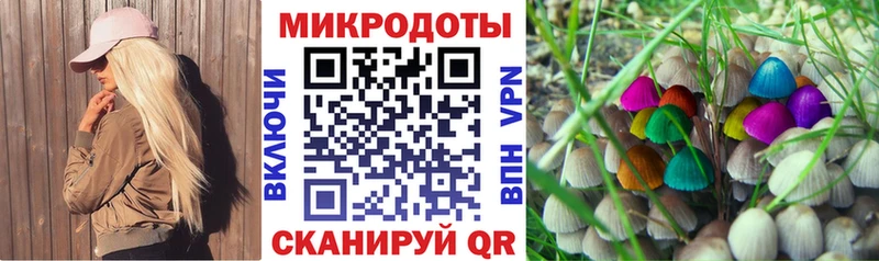 Галлюциногенные грибы Psilocybe где купить наркоту Нариманов